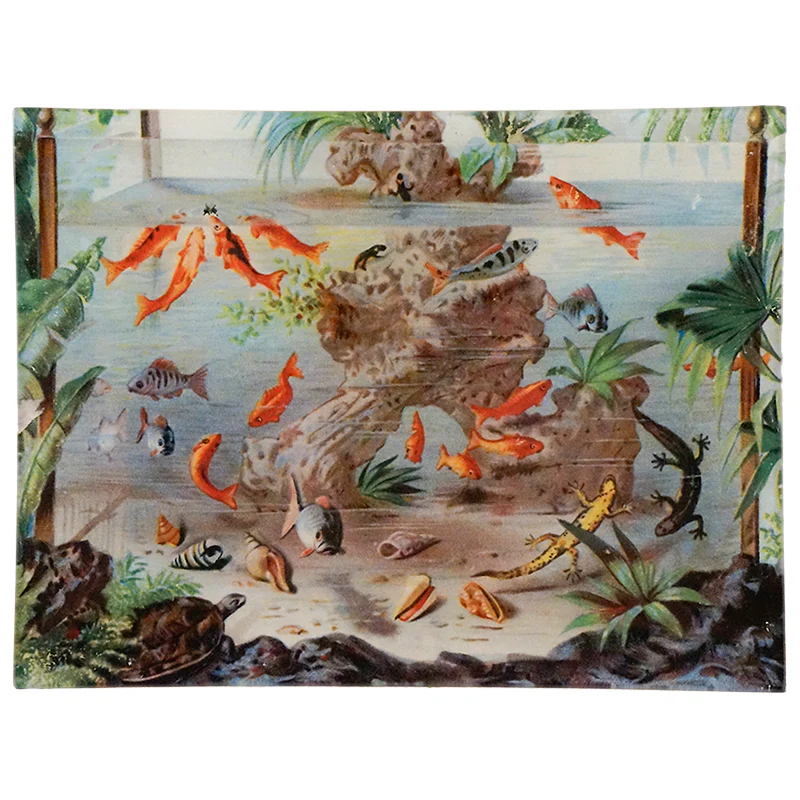 Aquarium