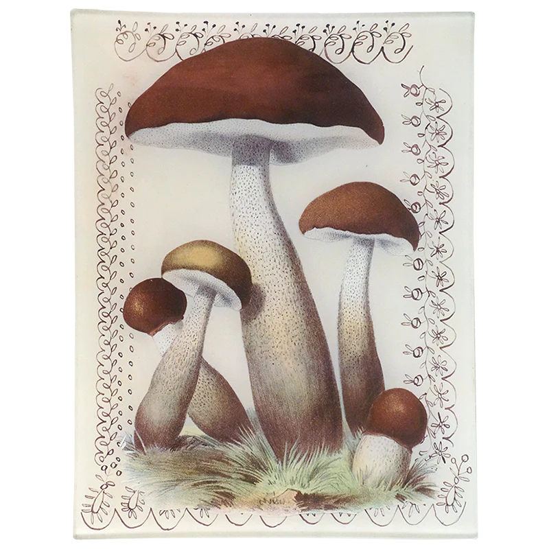 Mushroom with Lace