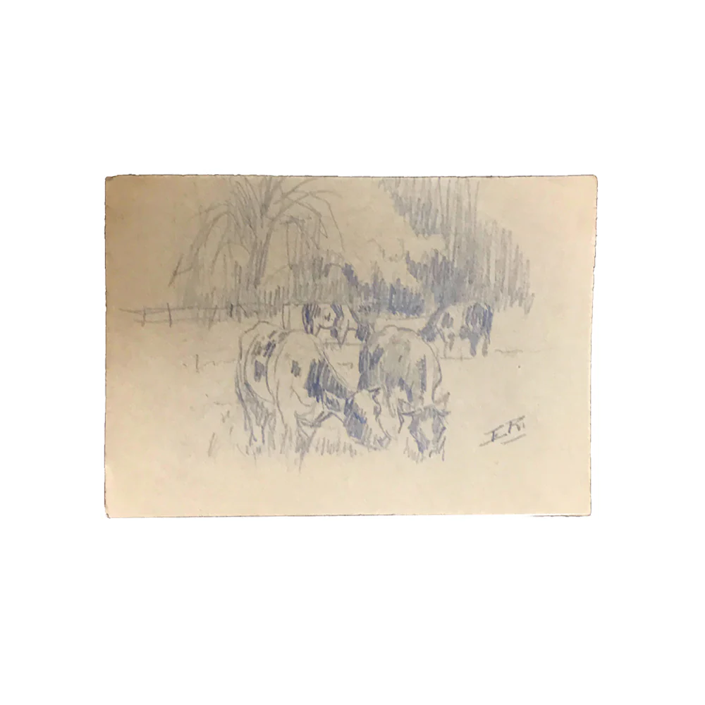 Evert Rabbers Cow Drawing 42