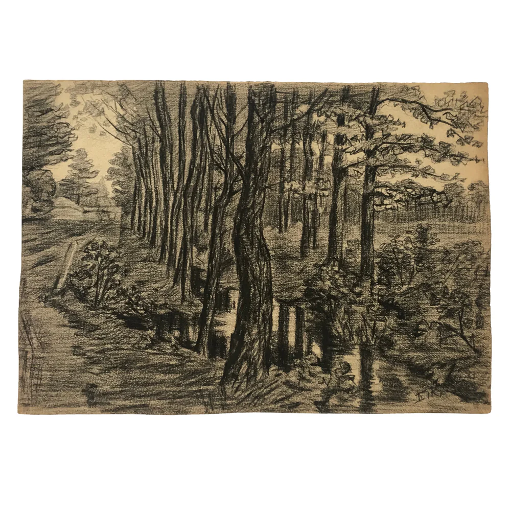 Evert Rabbers Landscape Drawing 59