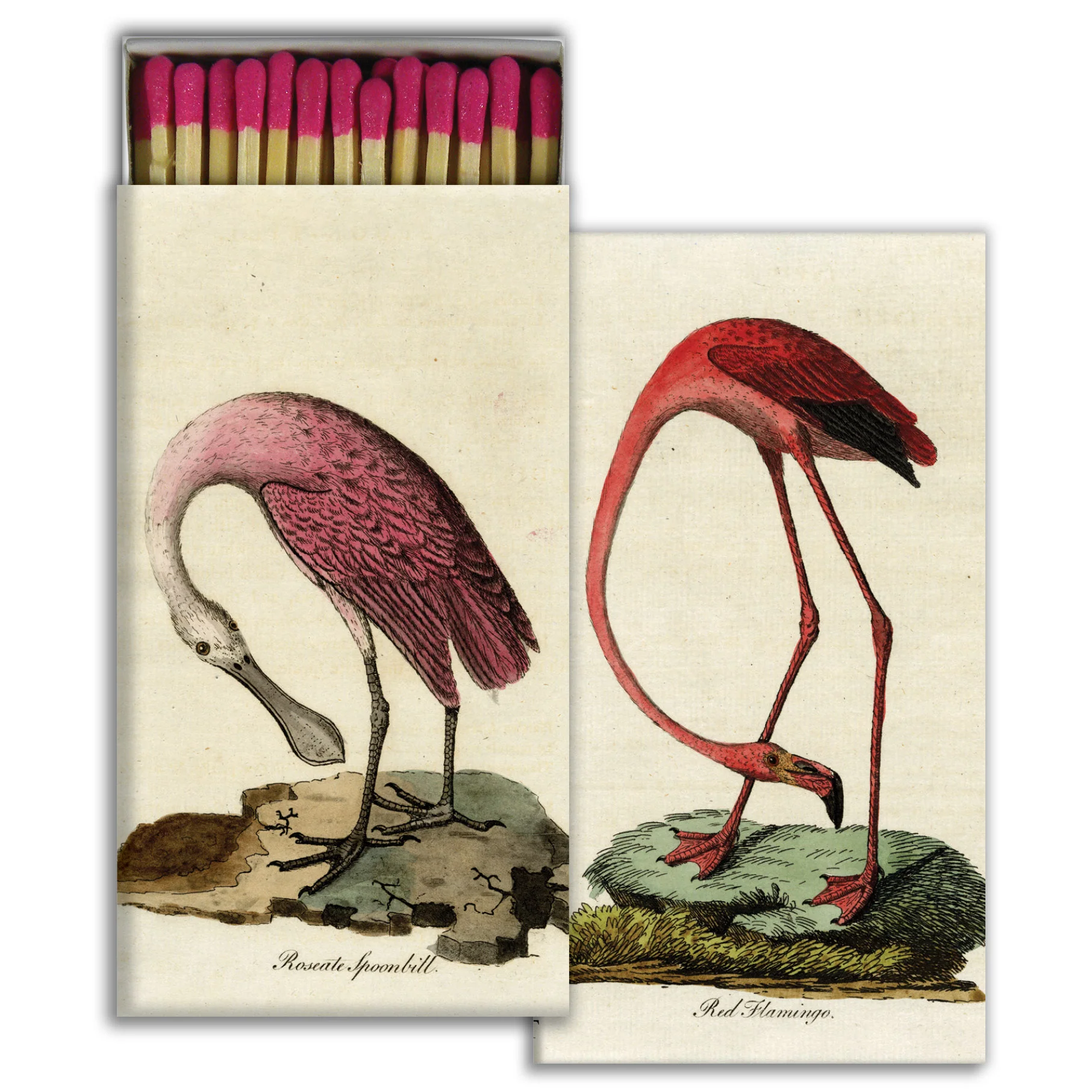 Flamingo & Spoonbill