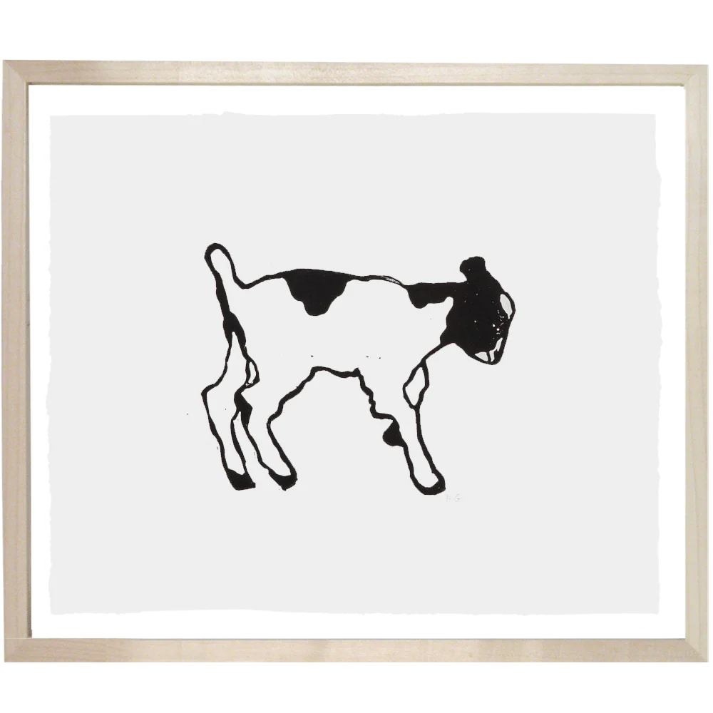 Kid Goat