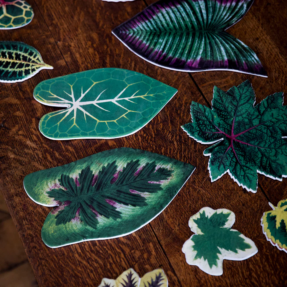 Leaf Platter 54 - Image 2