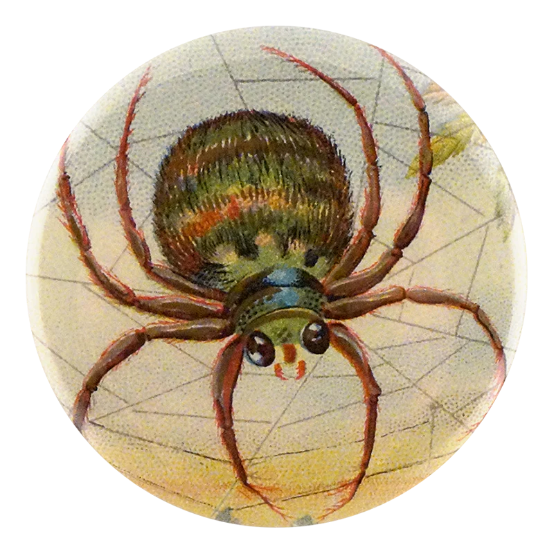 Big Spider Web