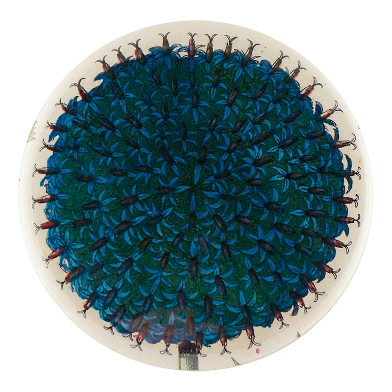 Blue Flower