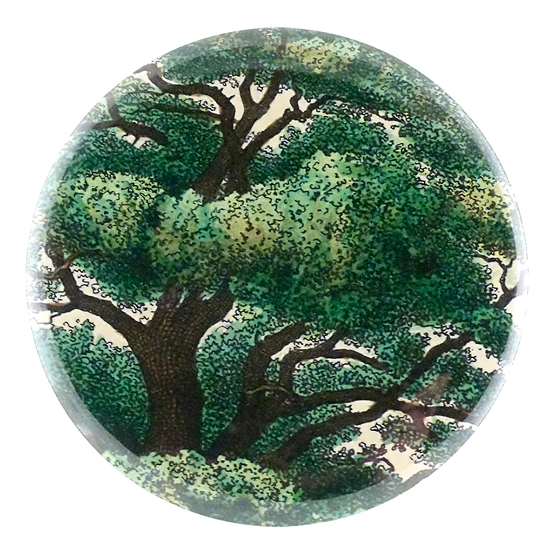 Branches