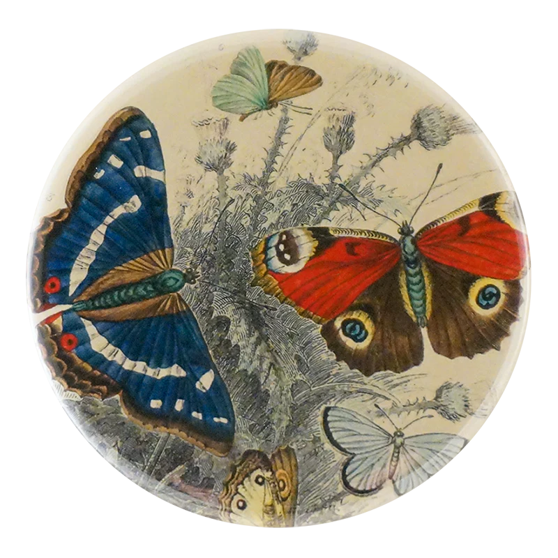Butterflies