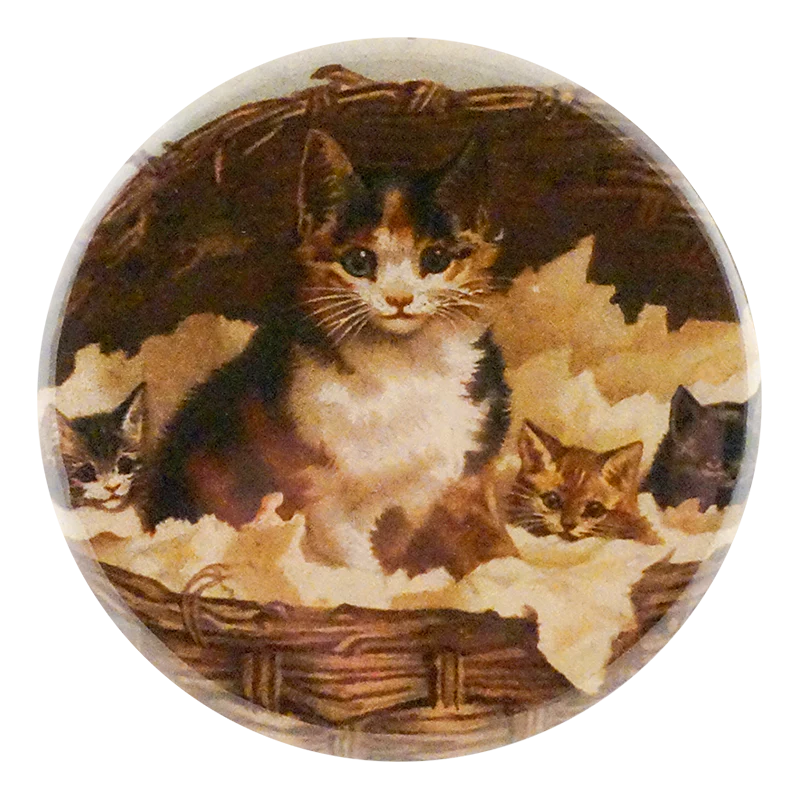 Cat Basket
