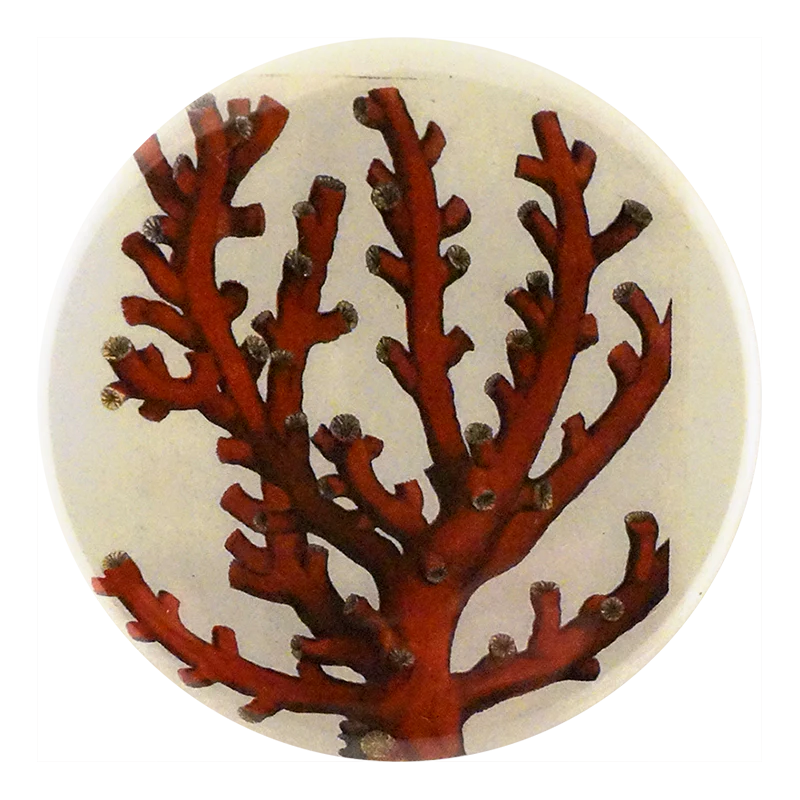 Coral