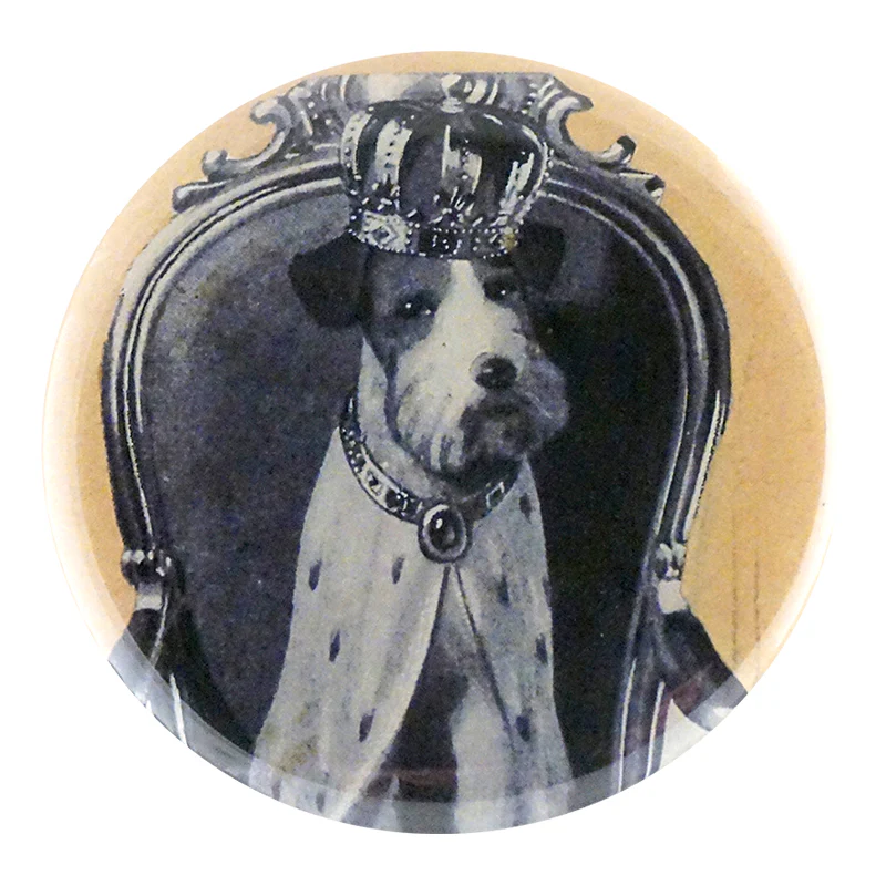 Crowned Dog