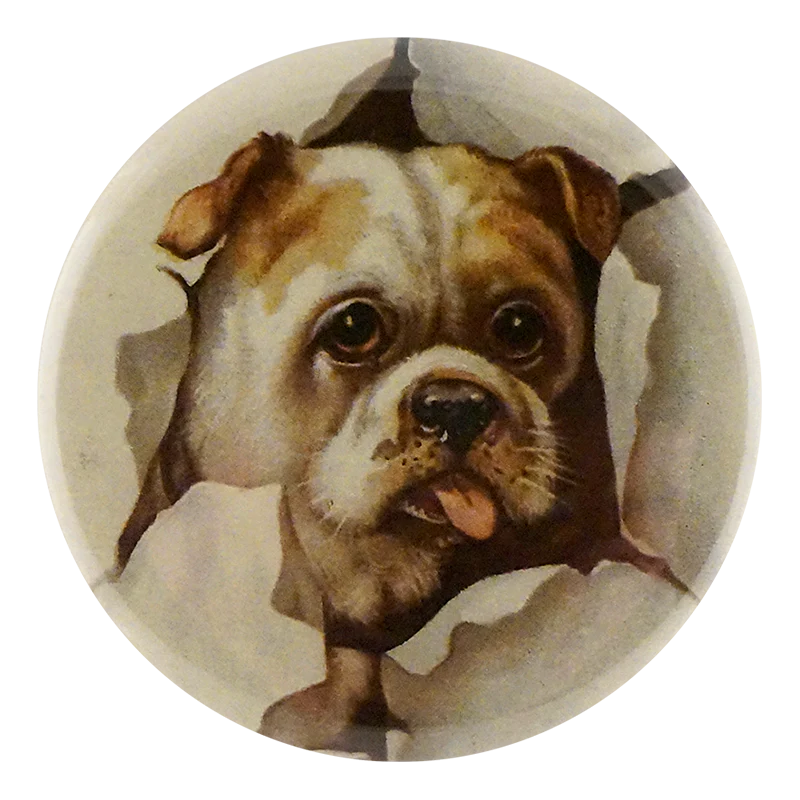 Doggie