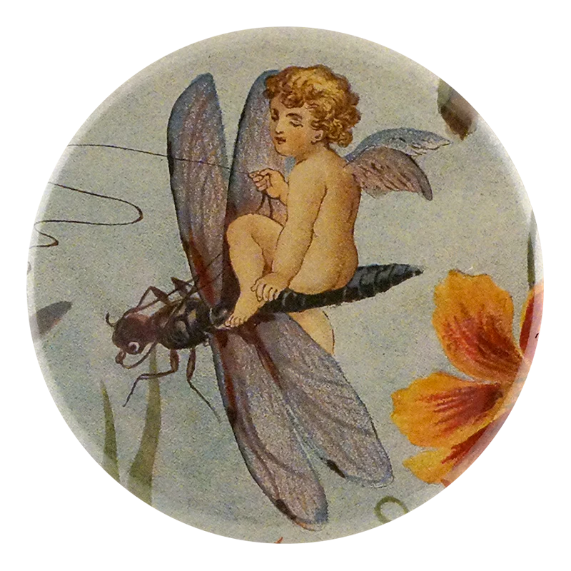 Fairy Dragonfly
