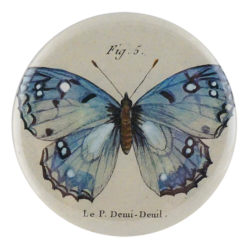 Fig. 5 Butterfly