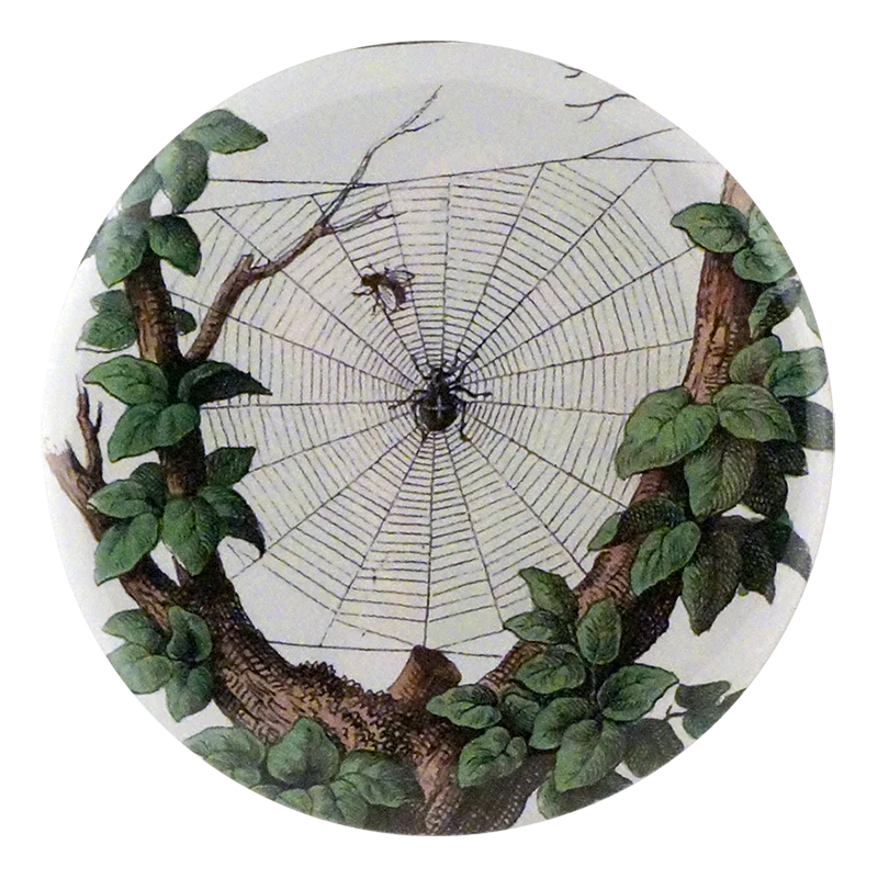 Smaller Leafy Web