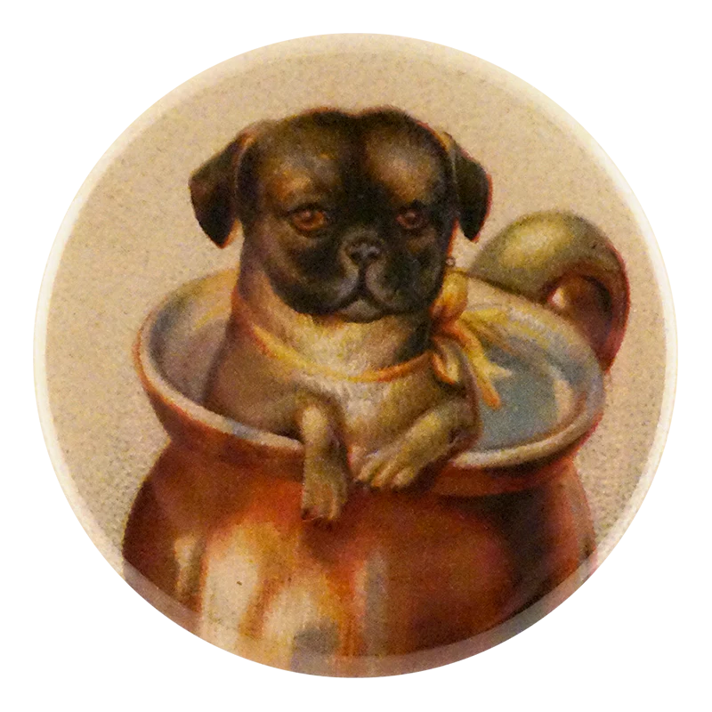 Pet Mug