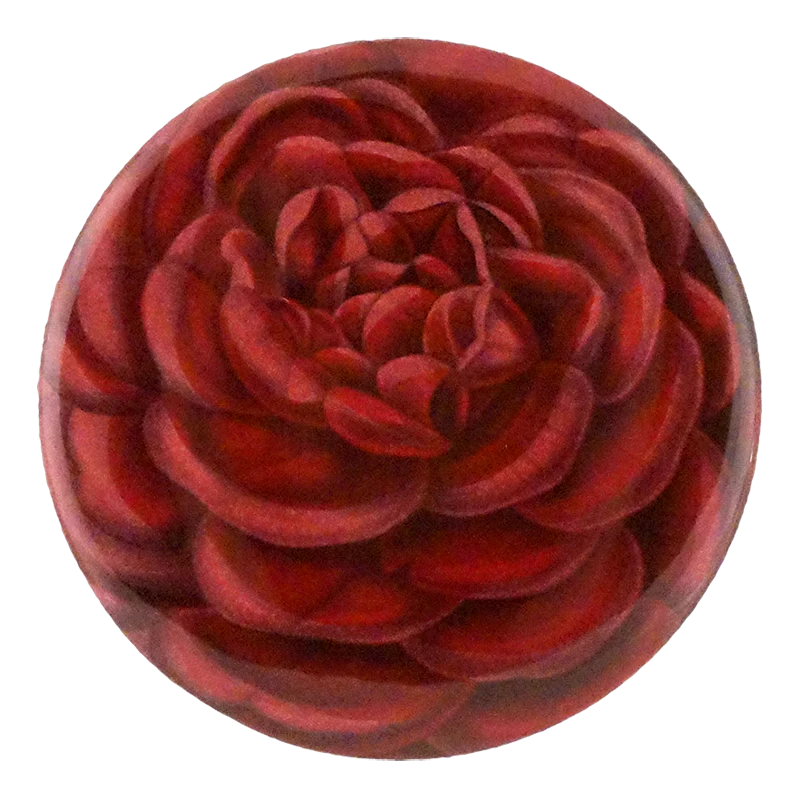 Rose Jules Margottin