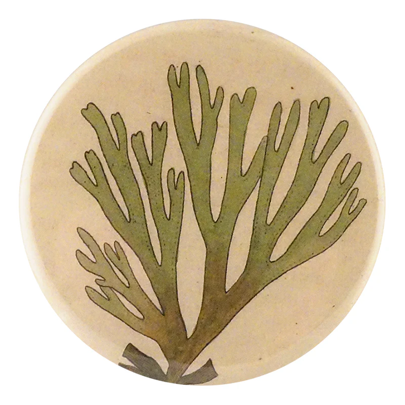 Sea Plant #1