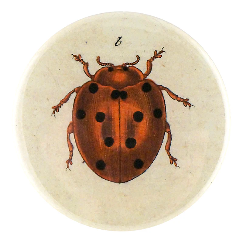 Tiny Dot Ladybug