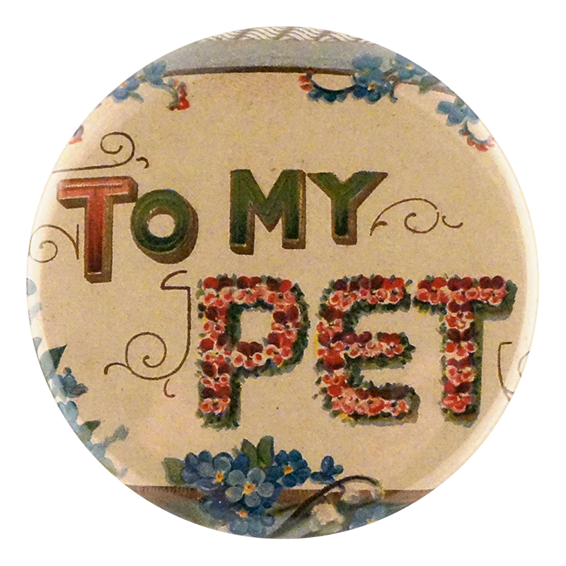 To My Pet