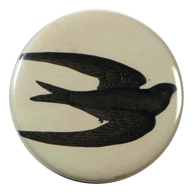 Swift Bird