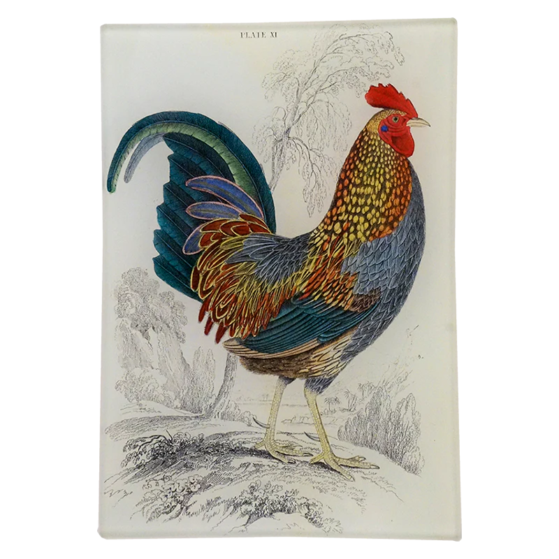 Gallus Sonnerati