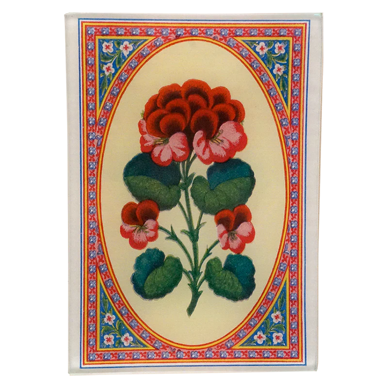 Geranium (Card Back)
