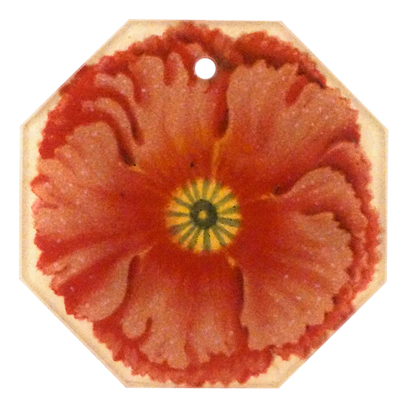 Primula 2