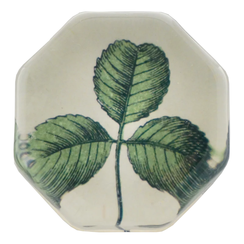Clover