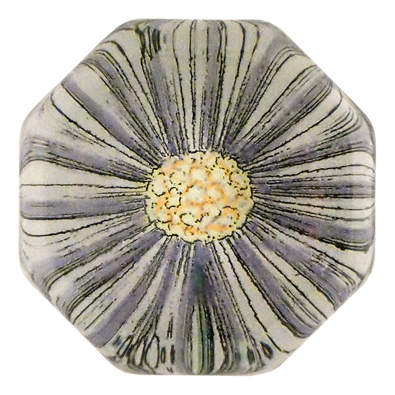 Daisy 421