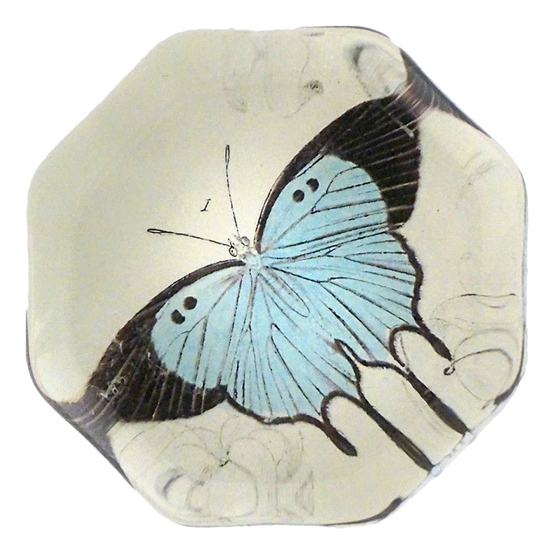 Light Blue Butterfly