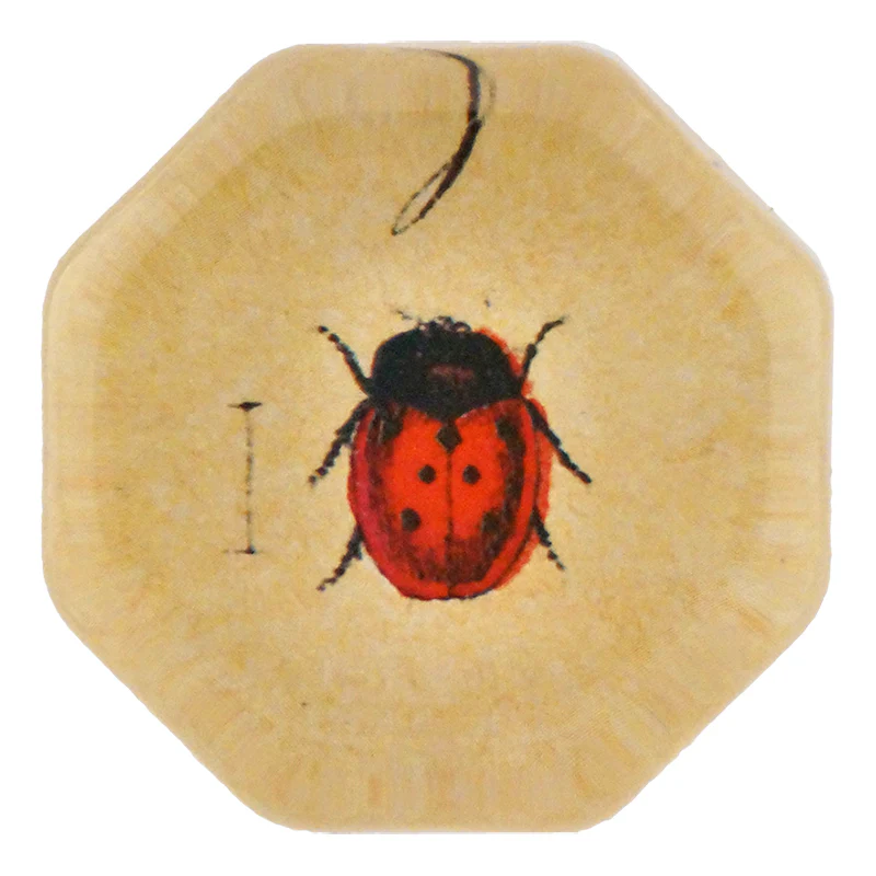 Red Ladybug