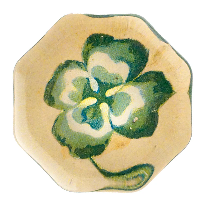 Variegated 4 Leaf Clover