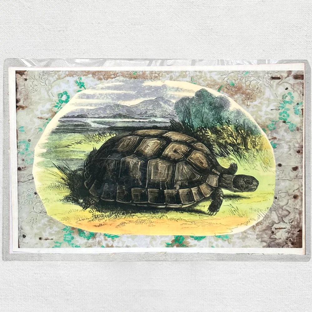 One of a Kind Collaged Turtle Table Mat (#614)