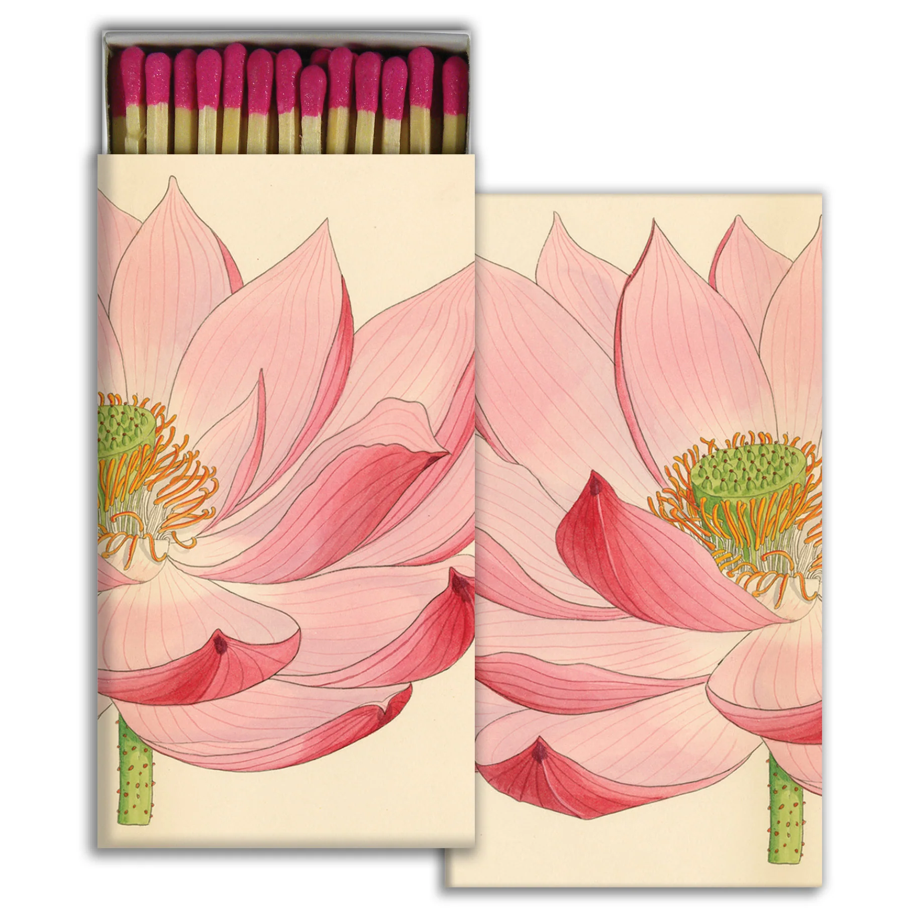 Painted Lily