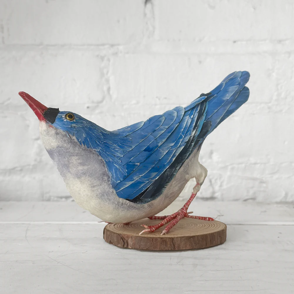 Papier-Mâché White Breasted Nuthatch #41