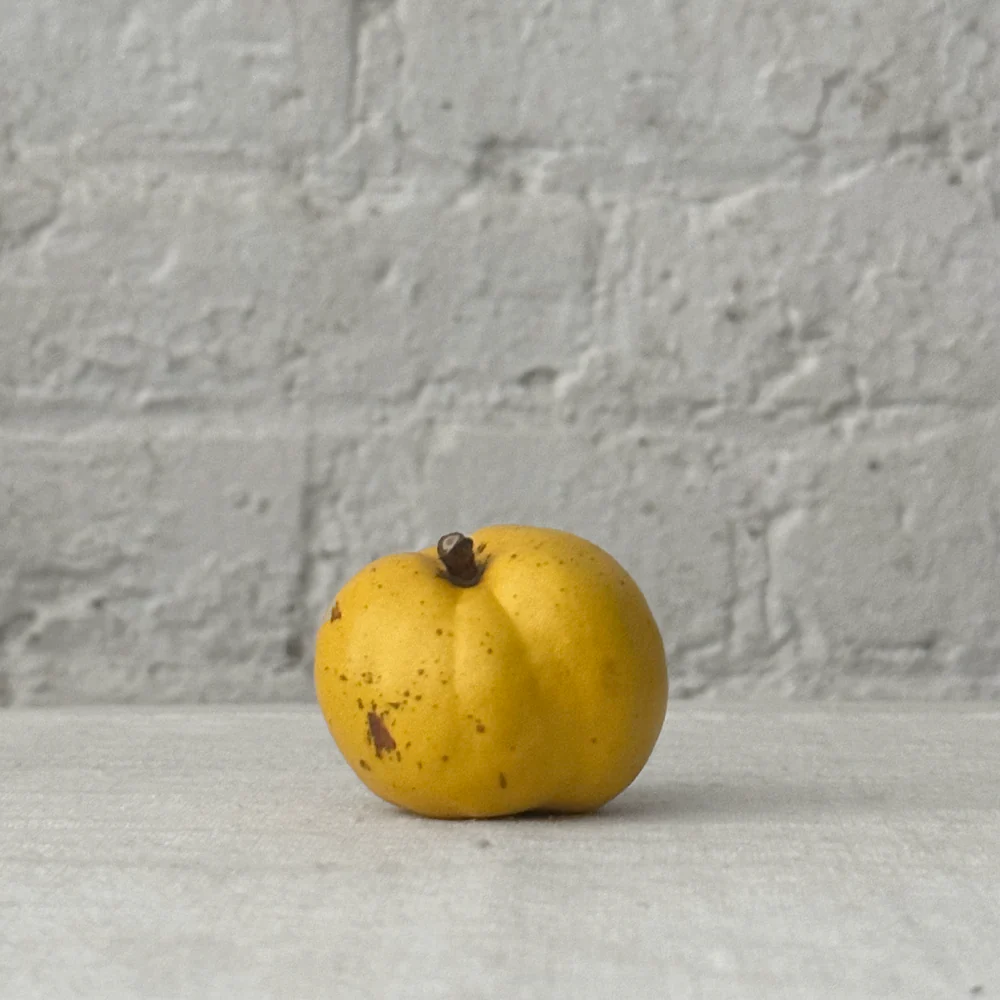 Porcelain Small Quince
