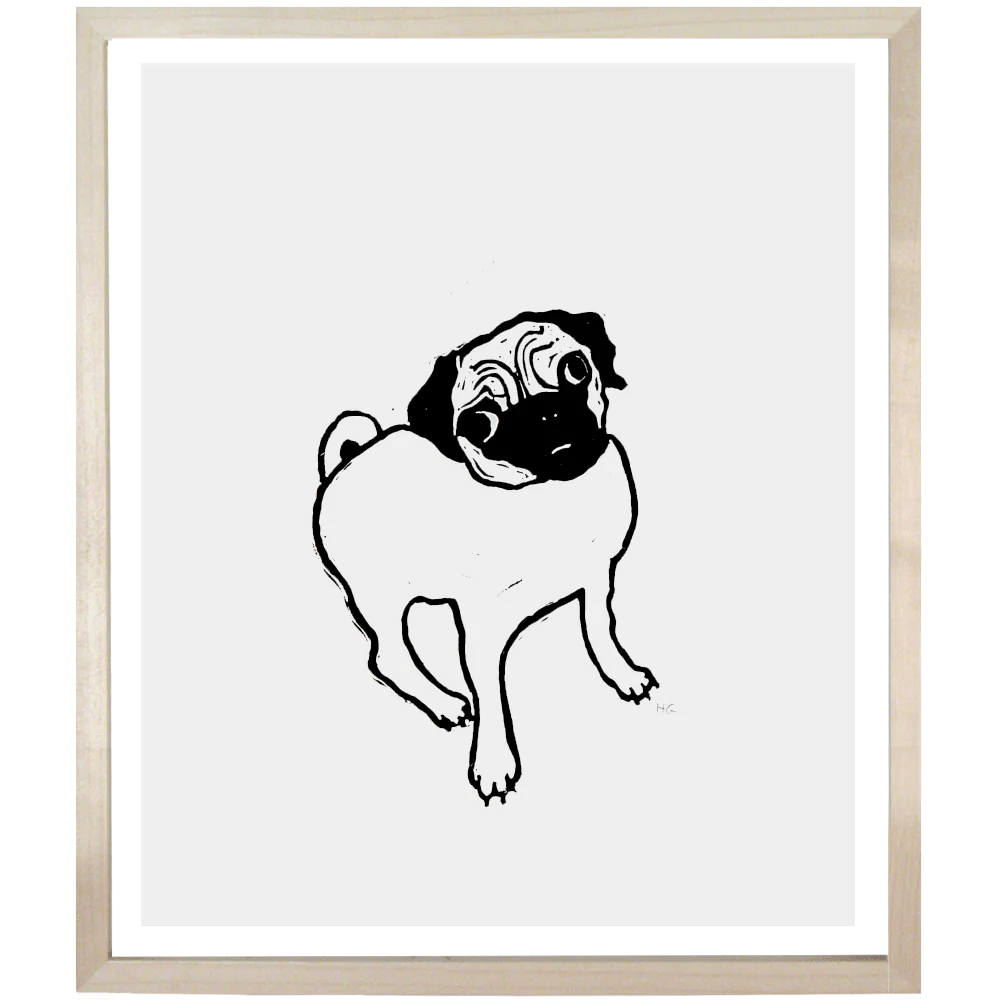 Pug