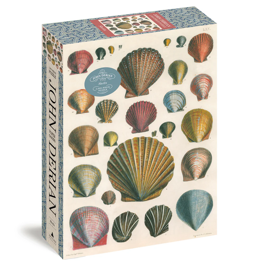 Shells