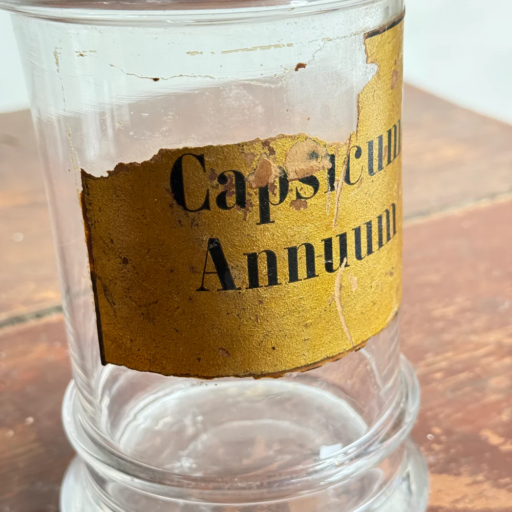 Small 19th-century French Apothecary Jar (20M) - Image 2