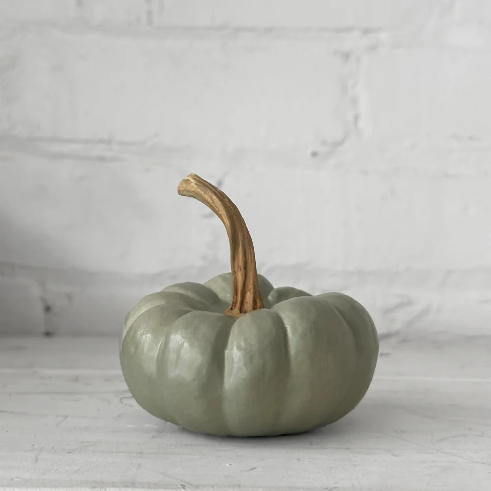 Baby Crown Prince Porcelain Squash