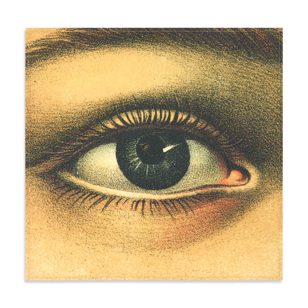 Summerill & Bishop x John Derian "Eye" Linen Napkin Set of 6