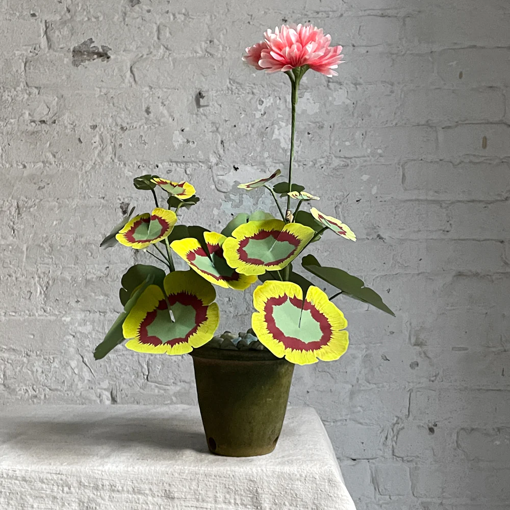 The Green Vase Potted Mini Geranium