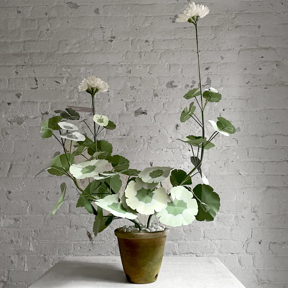 The Green Vase Double Potted Geranium