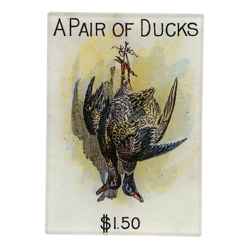 A Pair of Ducks