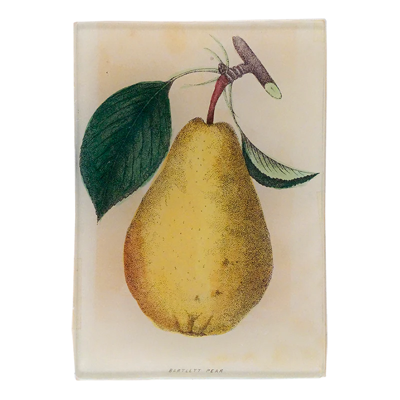 Bartlett Pear