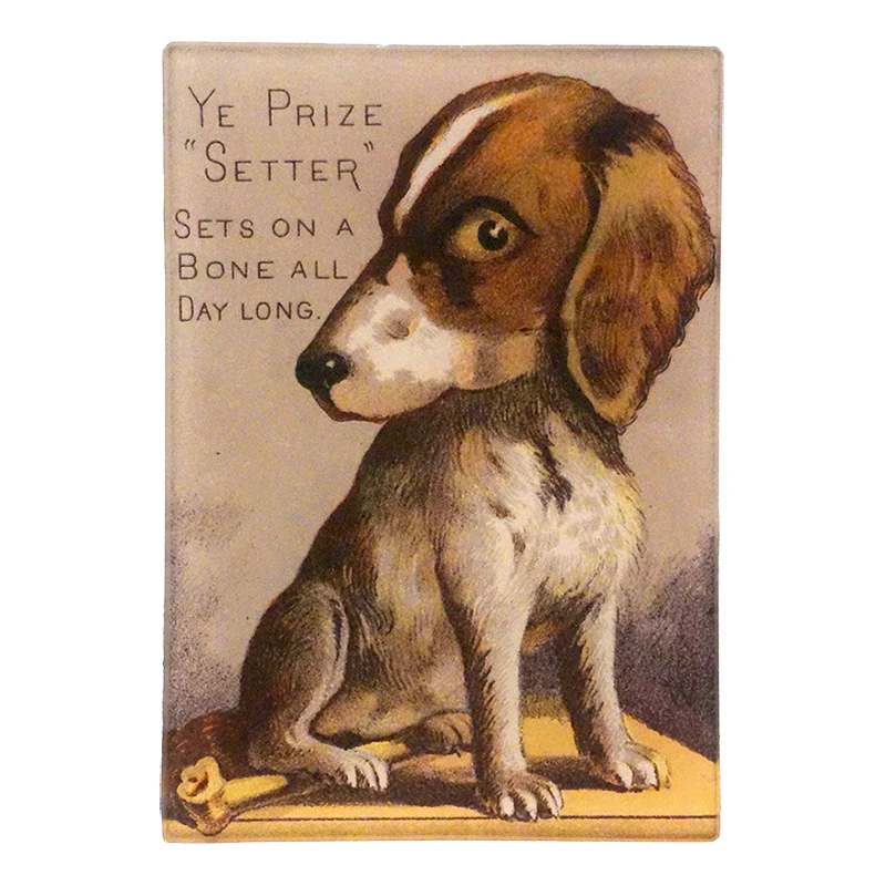 Setter