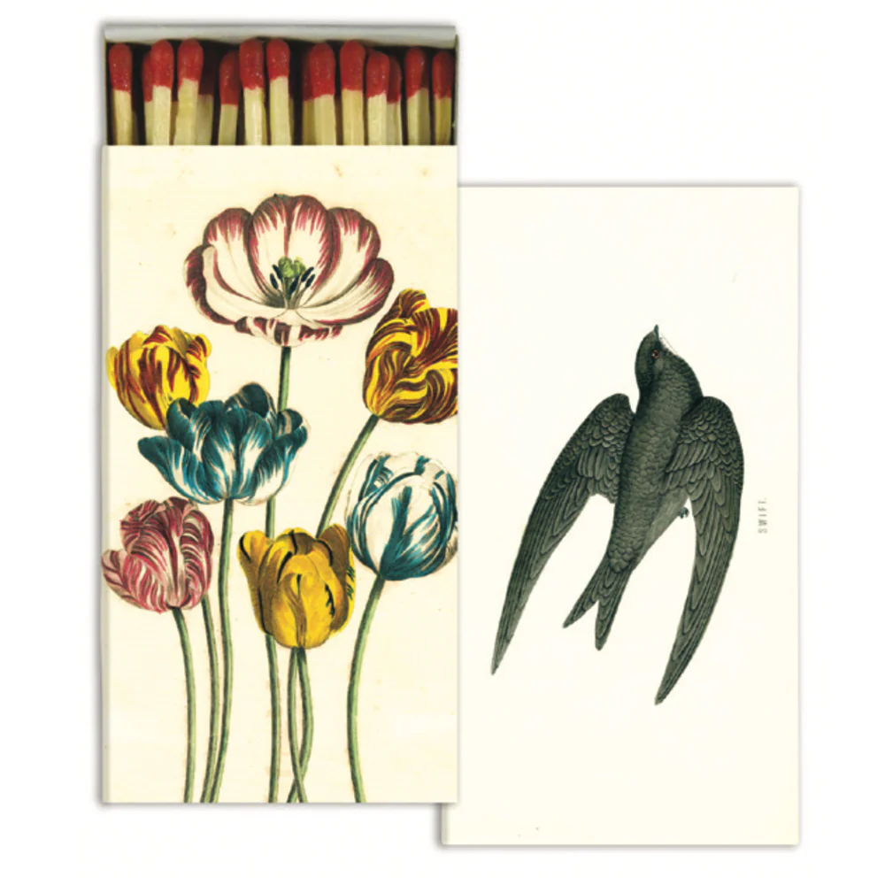 Variegated Tulips & Swift